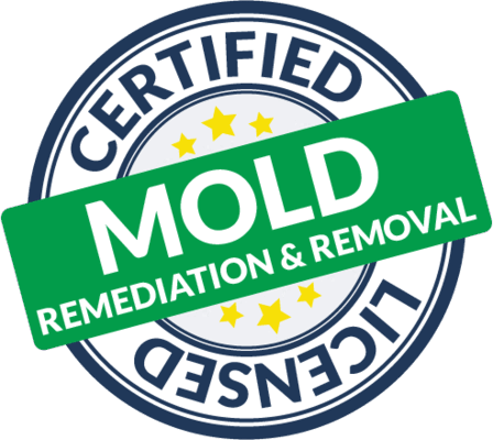 Certified Mold Remediation and Removal
