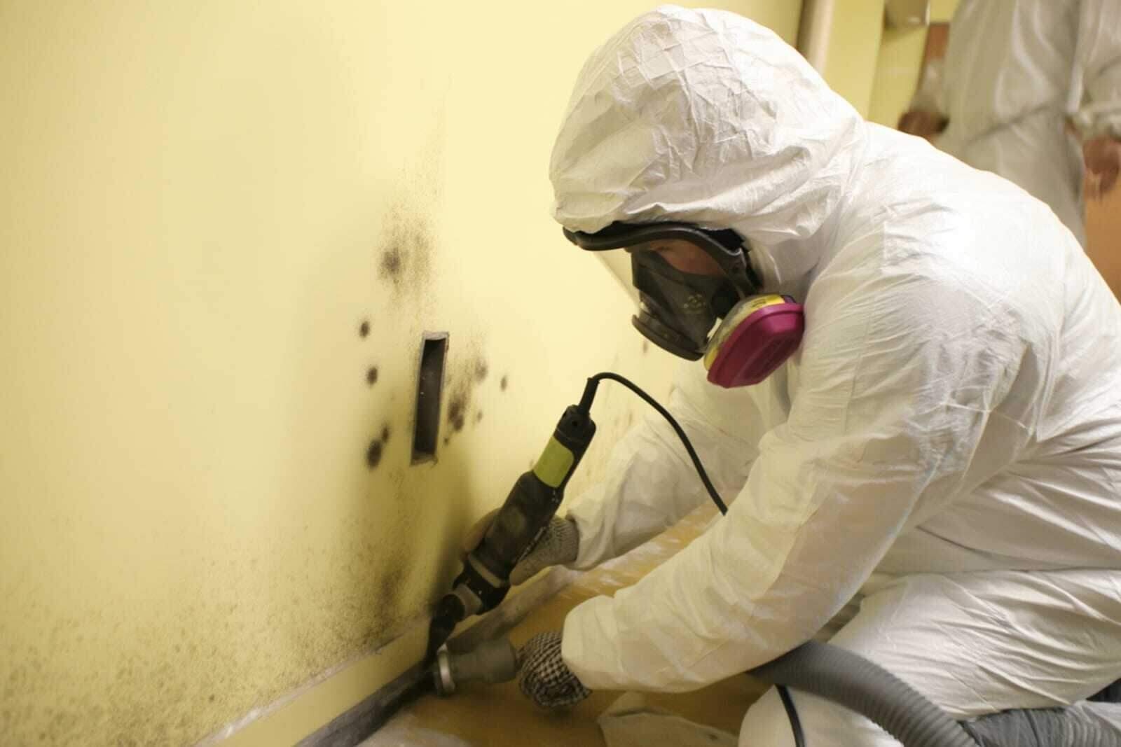 Professional mold remediation containment and HEPA filtration