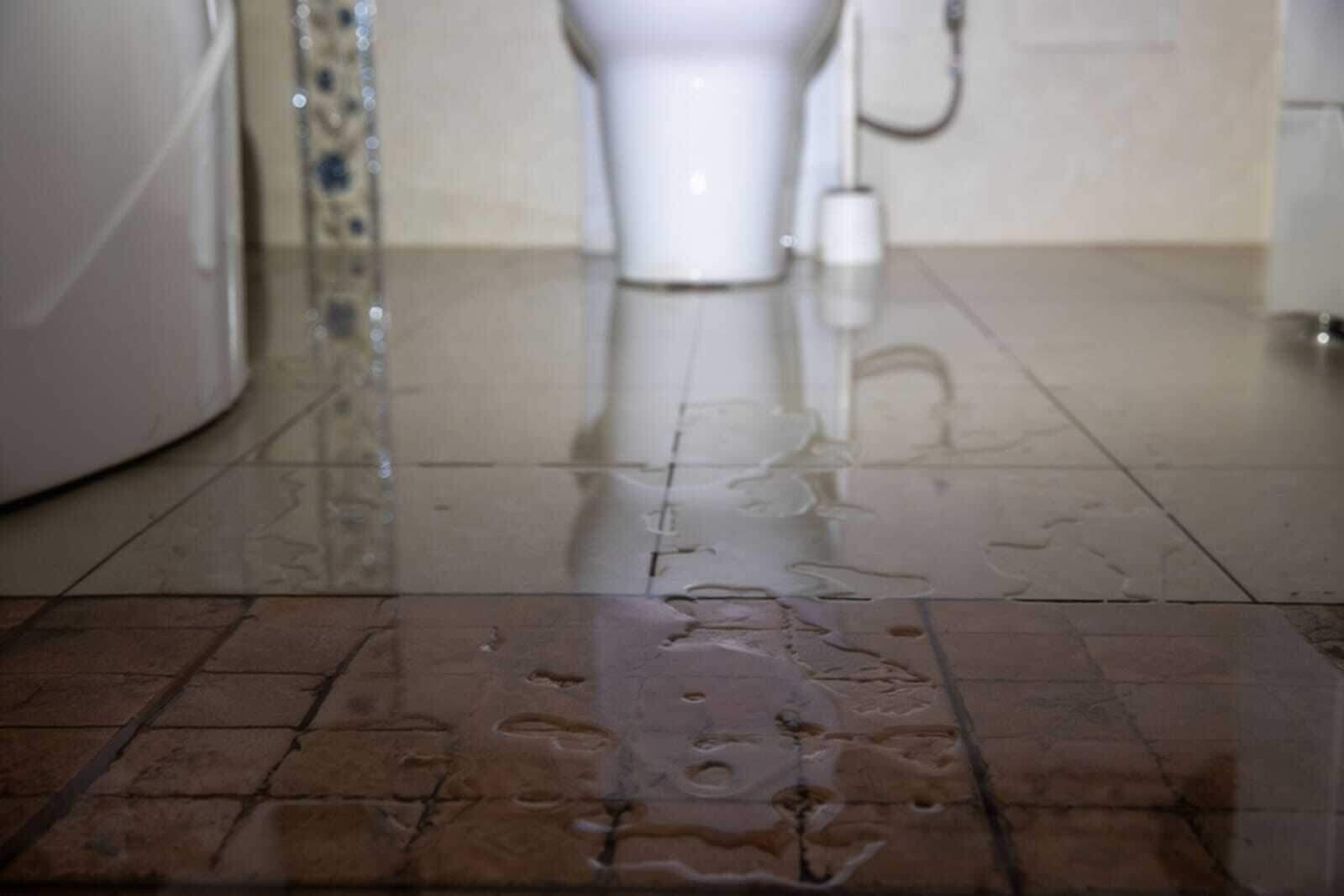 Sewage backup contamination requiring professional biohazard cleanup